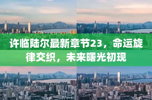 许临陆尔最新章节23，命运旋律交织，未来曙光初现