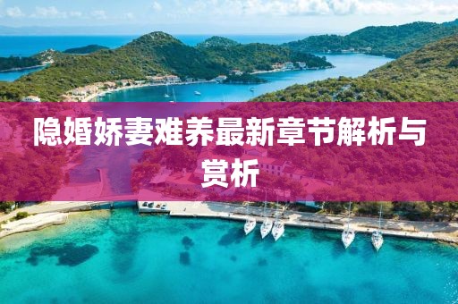 隐婚娇妻难养最新章节解析与赏析