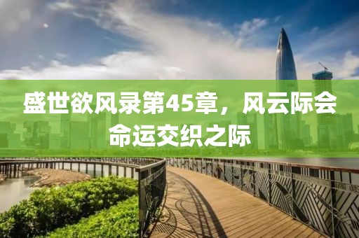 盛世欲风录第45章，风云际会命运交织之际