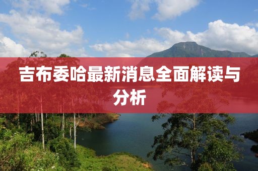 吉布委哈最新消息全面解读与分析