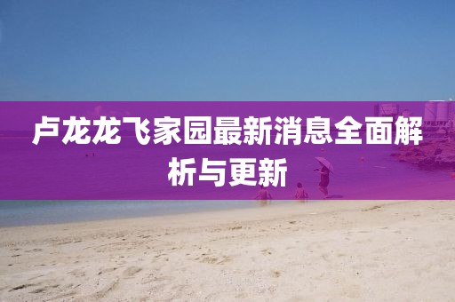 卢龙龙飞家园最新消息全面解析与更新