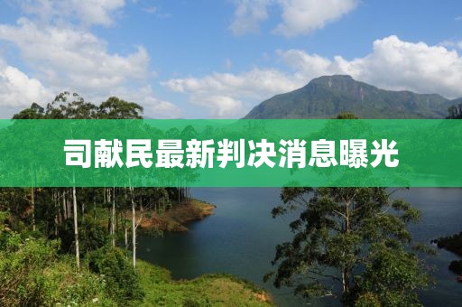 司献民最新判决消息曝光