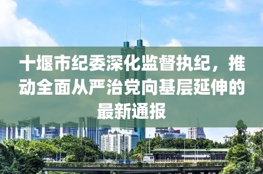 十堰市纪委深化监督执纪，推动全面从严治党向基层延伸的最新通报