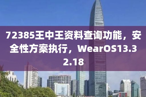 72385王中王资料查询功能，安全性方案执行，WearOS13.32.18