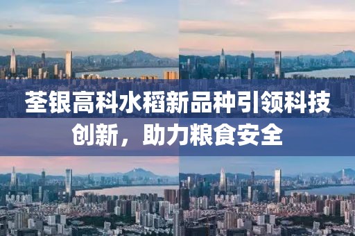 荃银高科水稻新品种引领科技创新，助力粮食安全