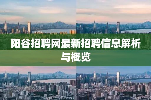 阳谷招聘网最新招聘信息解析与概览