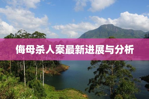 侮母杀人案最新进展与分析