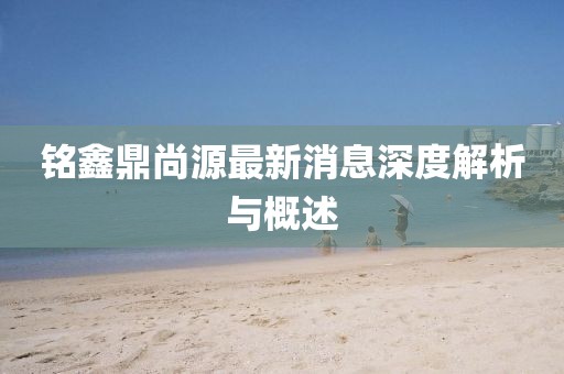 铭鑫鼎尚源最新消息深度解析与概述