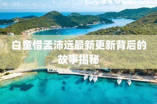白童惜孟沛远最新更新背后的故事揭秘