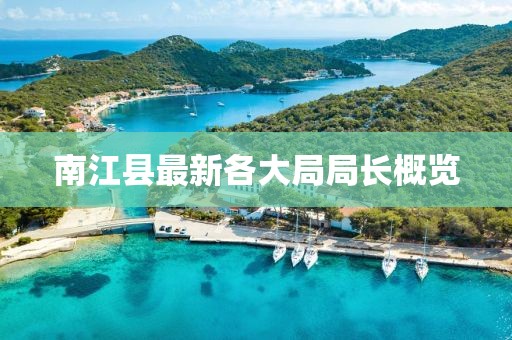 南江县最新各大局局长概览