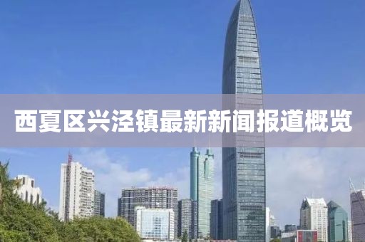 西夏区兴泾镇最新新闻报道概览