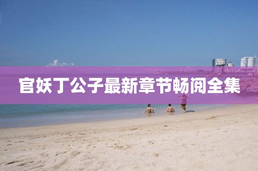 官妖丁公子最新章节畅阅全集