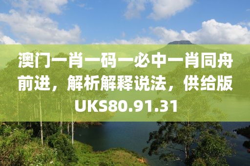 澳门一肖一码一必中一肖同舟前进，解析解释说法，供给版UKS80.91.31