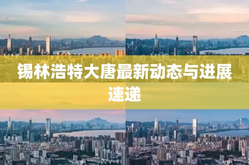 锡林浩特大唐最新动态与进展速递