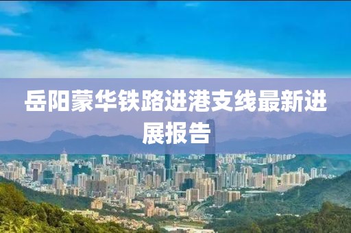 岳阳蒙华铁路进港支线最新进展报告