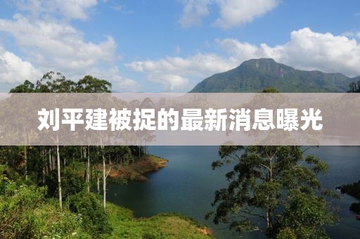 刘平建被捉的最新消息曝光