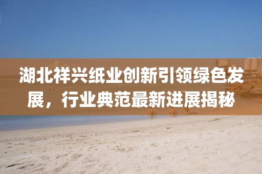 湖北祥兴纸业创新引领绿色发展，行业典范最新进展揭秘