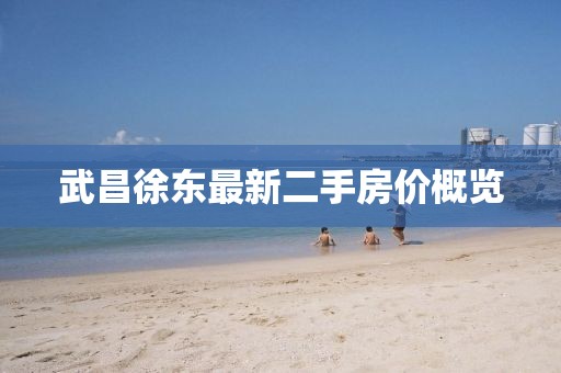武昌徐东最新二手房价概览