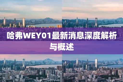 哈弗WEY01最新消息深度解析与概述