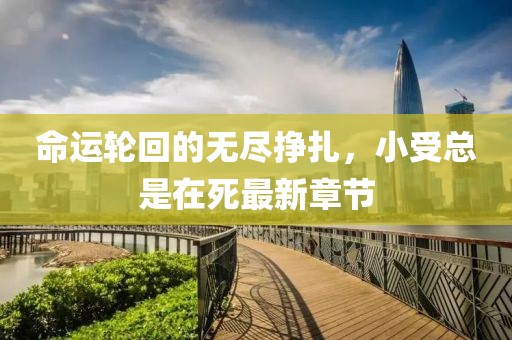 命运轮回的无尽挣扎，小受总是在死最新章节