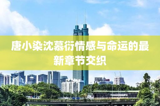 唐小染沈慕衍情感与命运的最新章节交织