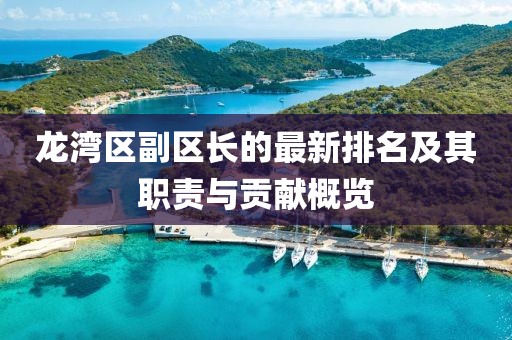 龙湾区副区长的最新排名及其职责与贡献概览