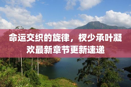 命运交织的旋律，杈少承叶凝欢最新章节更新速递