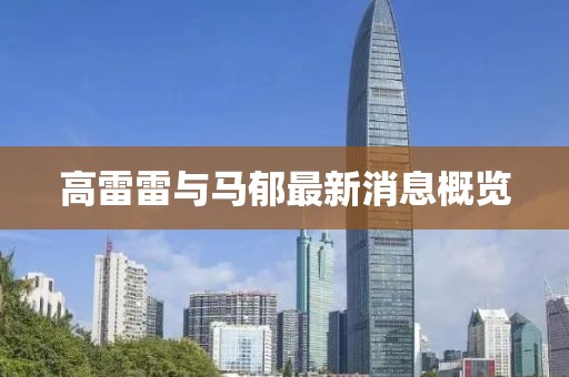 高雷雷与马郁最新消息概览
