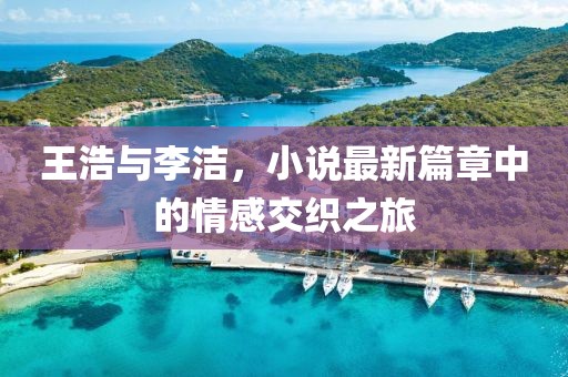 王浩与李洁，小说最新篇章中的情感交织之旅