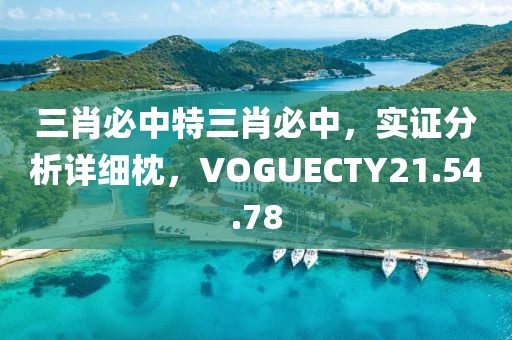 三肖必中特三肖必中，实证分析详细枕，VOGUECTY21.54.78