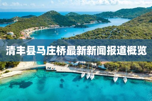 清丰县马庄桥最新新闻报道概览