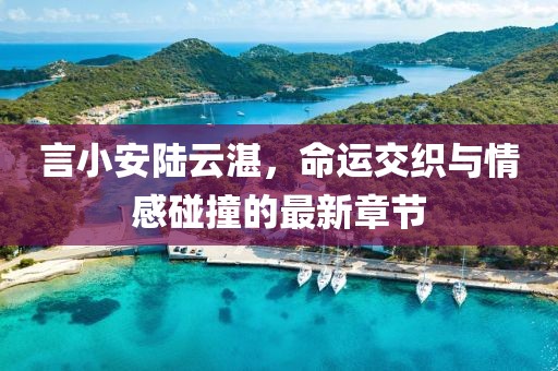 言小安陆云湛，命运交织与情感碰撞的最新章节