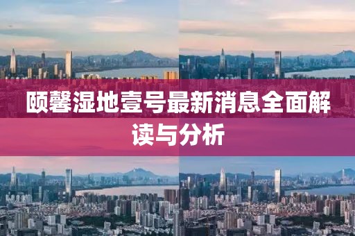 颐馨湿地壹号最新消息全面解读与分析