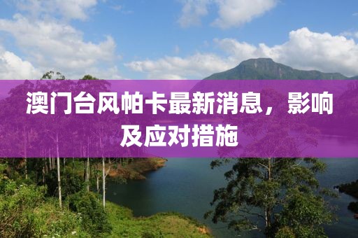 澳门台风帕卡最新消息，影响及应对措施