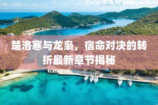 楚洛寒与龙枭，宿命对决的转折最新章节揭秘