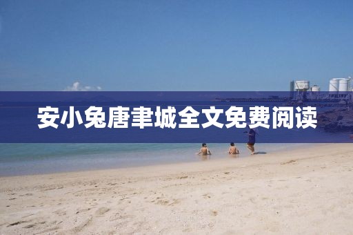 安小兔唐聿城全文免费阅读
