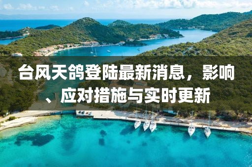 台风天鸽登陆最新消息，影响、应对措施与实时更新