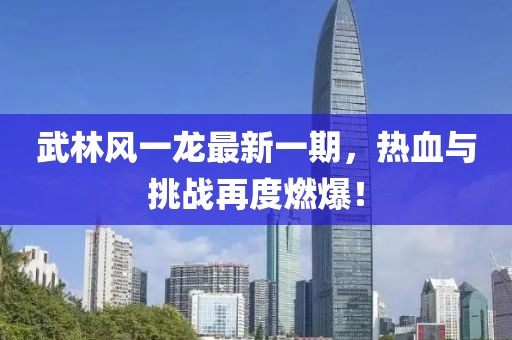 武林风一龙最新一期，热血与挑战再度燃爆！