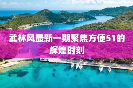 武林风最新一期聚焦方便51的辉煌时刻