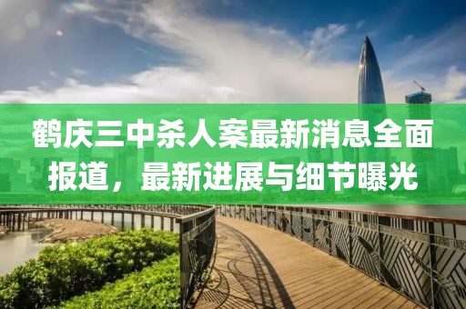 鹤庆三中杀人案最新消息全面报道，最新进展与细节曝光
