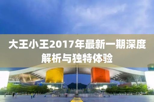 大王小王2017年最新一期深度解析与独特体验