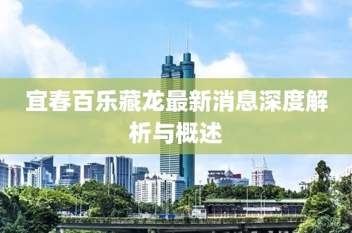 宜春百乐藏龙最新消息深度解析与概述