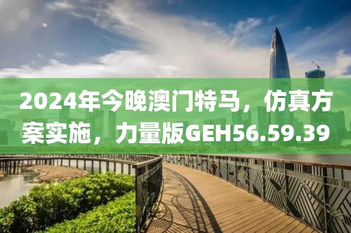 2024年今晚澳门特马，仿真方案实施，力量版GEH56.59.39