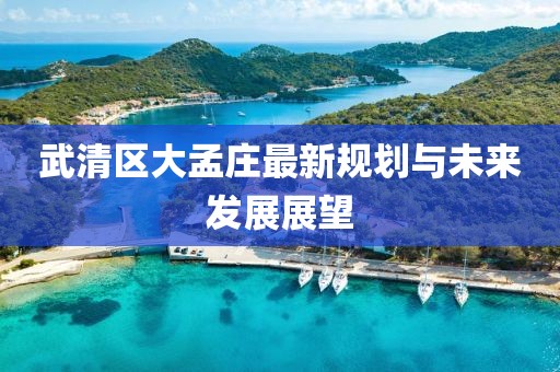 武清区大孟庄最新规划与未来发展展望