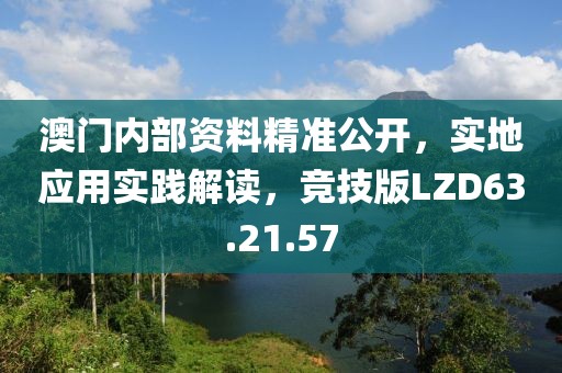 澳门内部资料精准公开，实地应用实践解读，竞技版LZD63.21.57