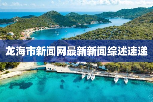 龙海市新闻网最新新闻综述速递