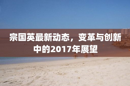 宗国英最新动态，变革与创新中的2017年展望