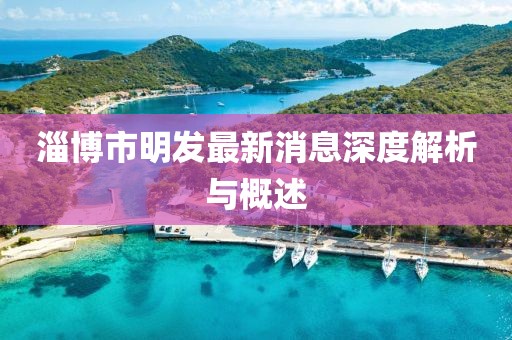 淄博市明发最新消息深度解析与概述