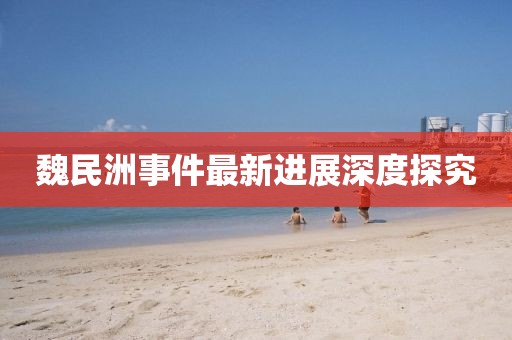 魏民洲事件最新进展深度探究