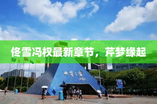 佟雪冯权最新章节，芹梦缘起